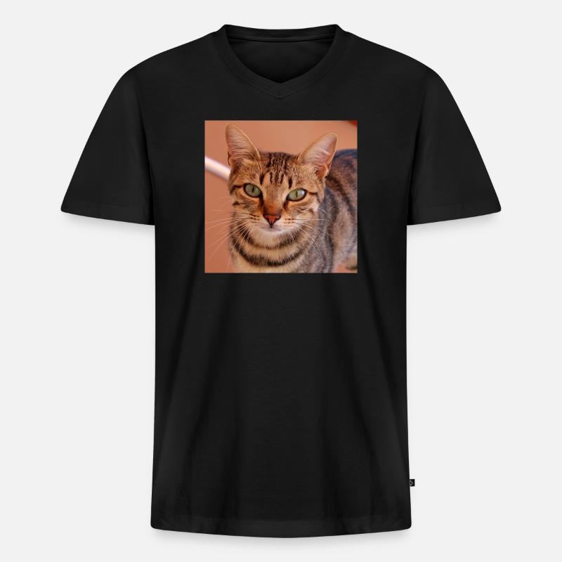 Katze Kätzchen Poster quadratisch Katzenposter - Männer Premium Bio T-Shirt mit V-Ausschnitt - Schwarz