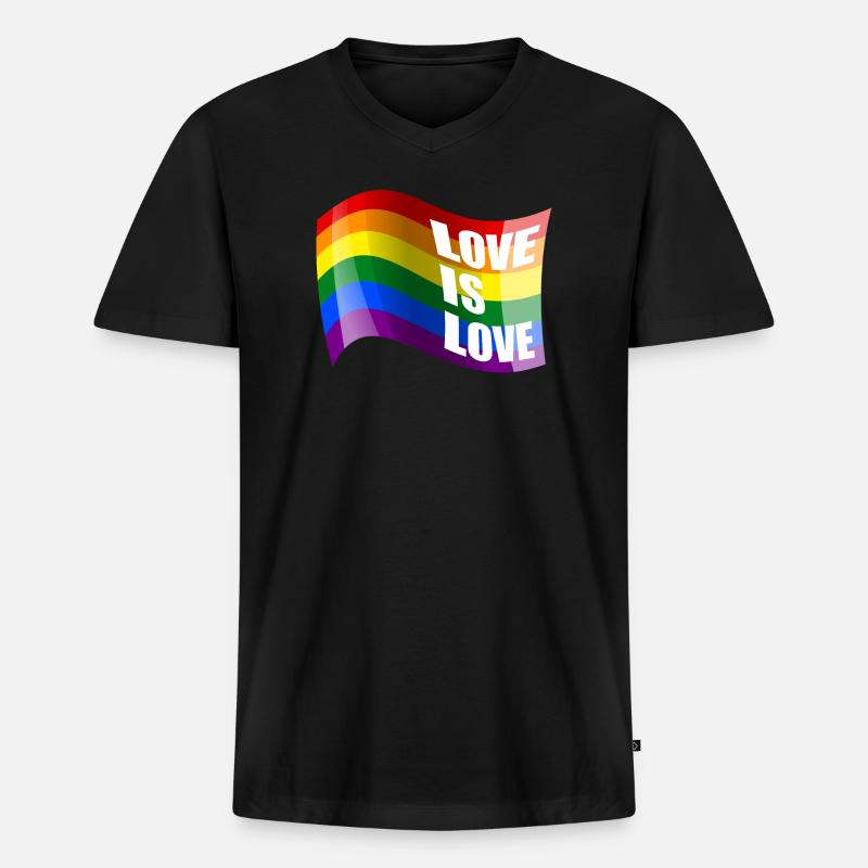 Regenbogen Liebe ist Liebe - Männer Premium Bio T-Shirt mit V-Ausschnitt - Schwarz
