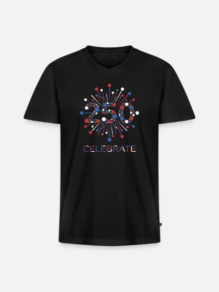 Celebrate 250 USA Fireworks - Men's Premium Organic T-shirt with V-neck - black
