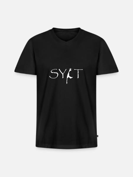 Sylt, North Sea, Westerland - Men's Premium Organic T-shirt with V-neck - black