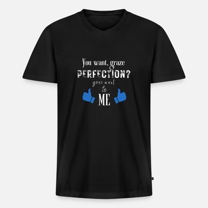Die Perfektion - Männer Premium Bio T-Shirt mit V-Ausschnitt - Schwarz