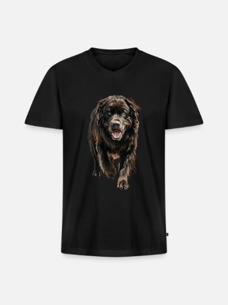 Neufundland - Männer Premium Bio T-Shirt mit V-Ausschnitt - Schwarz