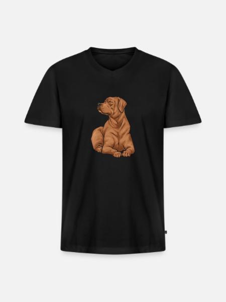 Fuchsroter Labrador Retriever Fox Red Labrador - Men's Premium Organic T-shirt with V-neck - black