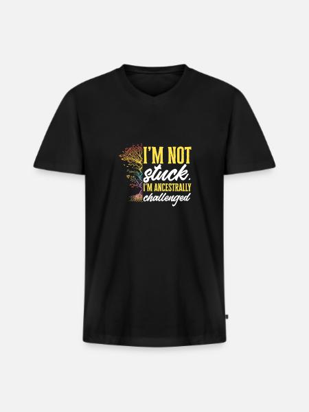 Genealogy Genealogy Genealogist - Men's Premium Organic T-shirt with V-neck - black
