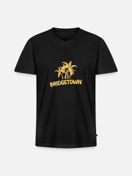 Bridgetown Bridgetown - T-shirt encolure en V Premium bio Homme - noir
