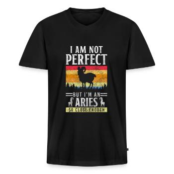 Horoskop Geburt Tierkreiszeichen - Männer Premium Bio T-Shirt mit V-Ausschnitt - Schwarz - Vorne - Nico (187cm)