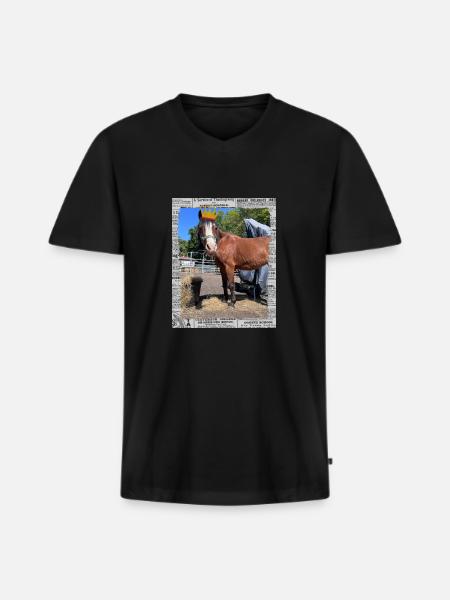 Sunny Princess - Männer Premium Bio T-Shirt mit V-Ausschnitt - Schwarz
