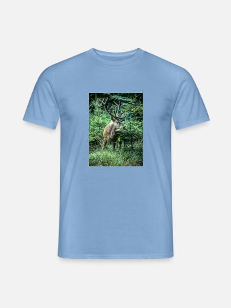 Rothirsch in junger Fichtenschonung - Männer T-Shirt - Carolina Blue