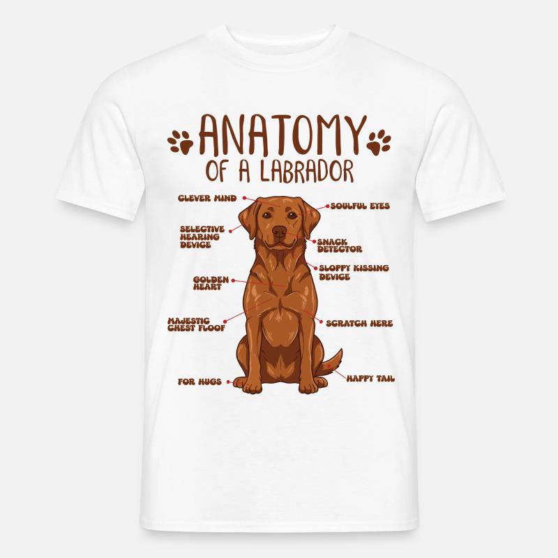 Anatomie eines Fox Red Labradors - Männer T-Shirt - Weiß