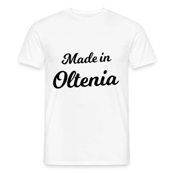 Hergestellt in der Walachei - Männer T-Shirt - Weiß - Vorne - AI Model Male 178 dark (178cm)