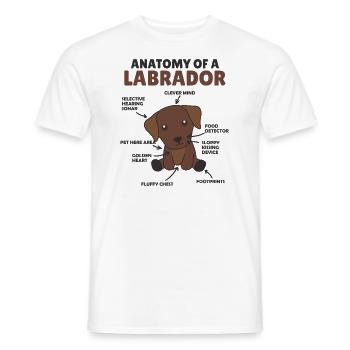 Anatomie d’un labrador Retriever chiens mignons - T-shirt homme - blanc - Devant - AI Model Male 178 dark (178cm)