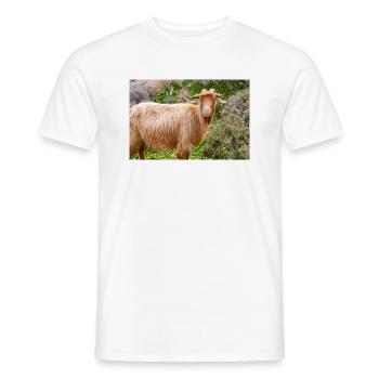 Chèvre de montagne dans le parc national Λίμνη Συμπ - T-shirt homme - blanc - Devant - AI Model Male 178 dark (178cm)