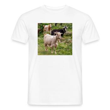 Chèvre de montagne dans le parc national Parc de l’île de Kos - T-shirt homme - blanc - Devant - AI Model Male 178 dark (178cm)