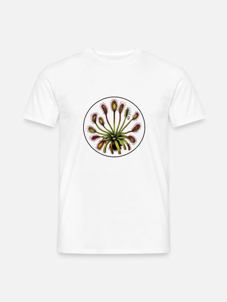 Drosera Rotundifolia Sonnentau Pflanze Karnivoren - Männer T-Shirt - Weiß