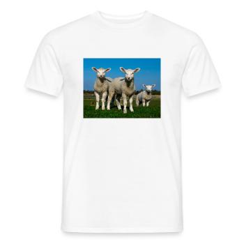 lambs in the pasture - Men's T-Shirt - white - Front - AI Model Male 178 dark (178cm)
