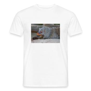 Banded Mongoose or Zebra Mongoose Zebramanguste - Men's T-Shirt - white - Front - AI Model Male 178 dark (178cm)