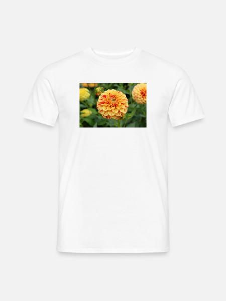 gelbe Dahlie Blüte Blume Poster - Männer T-Shirt - Weiß