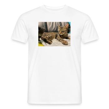 Cozy tiger cat in the light - Men's T-Shirt - white - Front - AI Model Male 178 dark (178cm)