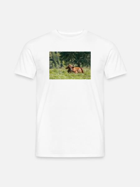 Alpen-Idylle: Kuh auf bayerischer Alm - Männer T-Shirt - Weiß