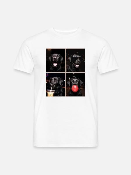 Hunde Labrador Hund - Männer T-Shirt - Weiß