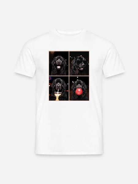 Hunde Neufundländer Hund - Männer T-Shirt - Weiß