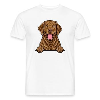 Chesapeake Bay Retriever - Männer T-Shirt - Weiß - Vorne - AI Model Male 178 dark (178cm)