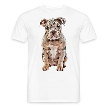 OLD ENGLISH BULLDOG Dog Dogs Bulldog - Men's T-Shirt - white - Front - AI Model Male 178 dark (178cm)