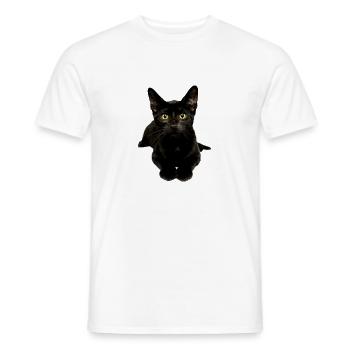 Black Cat Yellow Eyes Cute Kitty For Cat Owners - Men's T-Shirt - white - Front - AI Model Male 178 dark (178cm)