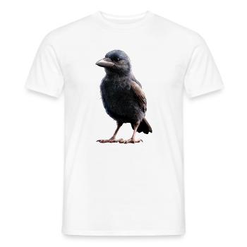 Raven, Crow, Bird, Raven Crow, Jackdaw, Black Raven - Men's T-Shirt - white - Front - AI Model Male 178 dark (178cm)