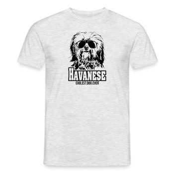 HAVANESE chien le plus cool de tous les temps Chien disant chien chien - T-shirt homme - gris chiné - Devant - AI Model Male 178 dark (178cm)