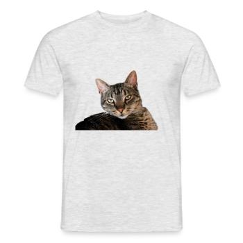 Cat Kitten - Men's T-Shirt - heather grey - Front - AI Model Male 178 dark (178cm)