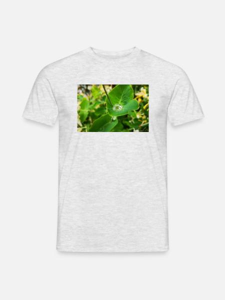 Water pearl in leaf - Men's T-Shirt - heather grey