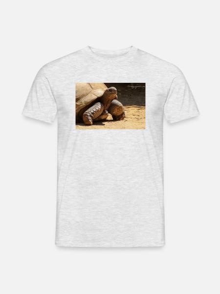 Galapagos Risen Turtle - Men's T-Shirt - heather grey