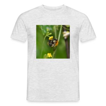 Hummel auf gelber Blüte - Männer T-Shirt - Grau meliert - Vorne - AI Model Male 178 dark (178cm)