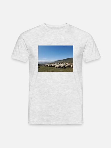 Schafe, Schafherde, Berge, Wiesen - Männer T-Shirt - Grau meliert