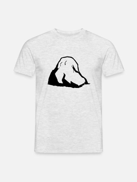 Boulder - Männer T-Shirt - Grau meliert