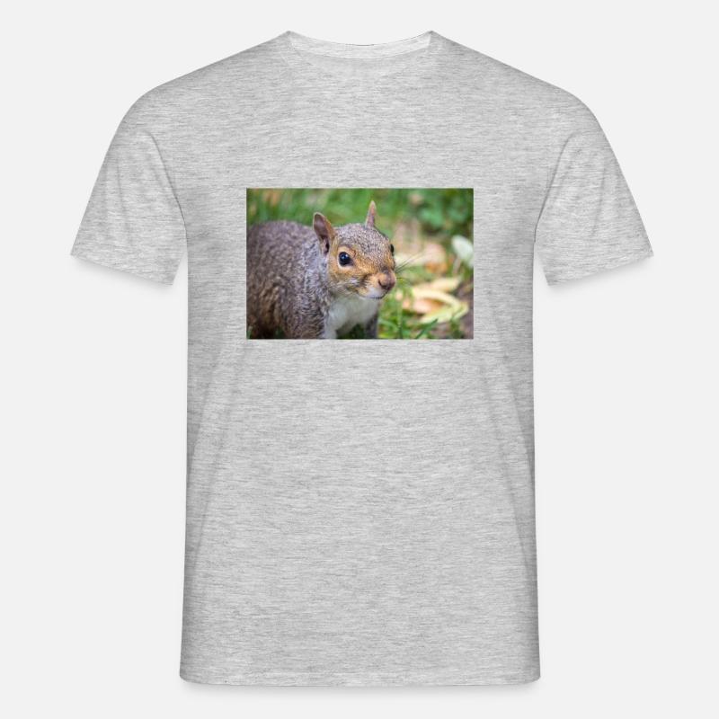 Grauhörnchen Sciurus - Männer T-Shirt - Grau meliert