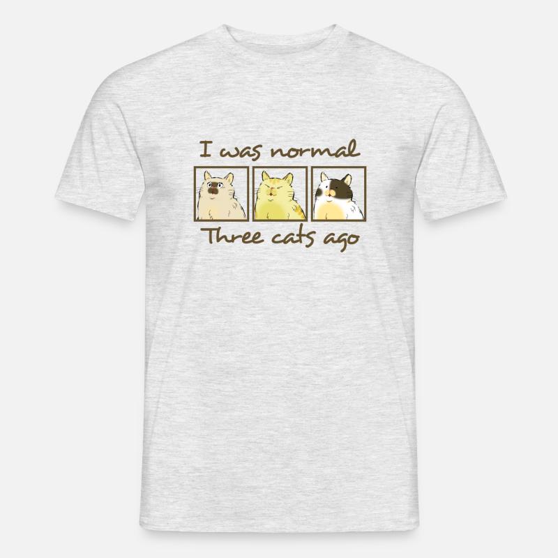Vor 3 Katzen war ich noch normal lustiger Spruch - Männer T-Shirt - Grau meliert