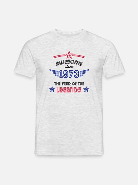Awesome since 1973 Geburtstag 1973 - Männer T-Shirt - Grau meliert