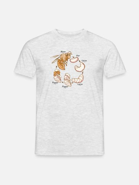 Lebenszyklus der Biene Montessori Material - Männer T-Shirt - Grau meliert