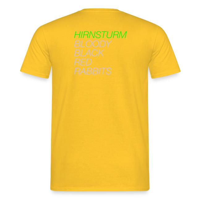 Hirnsturm