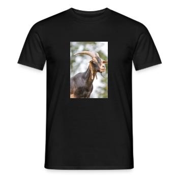 Goat (Ziege, Capra) brown and black - Männer T-Shirt - Schwarz - Vorne - AI Model Male 178 light (178cm)