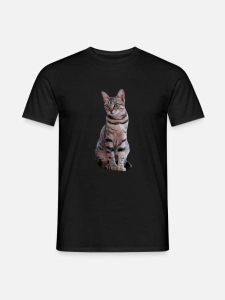 Kat Katten Sweet Kitten Kerstcadeau - Heren T-shirt - zwart