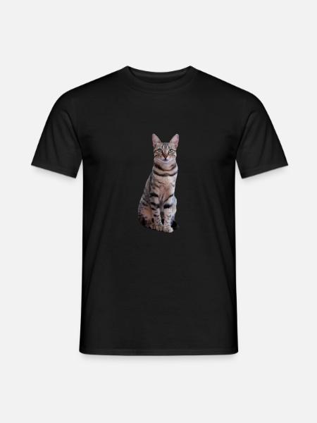 Katze Kätzchen Tigerkatze Katzenshirt Geschenk - Männer T-Shirt - Schwarz