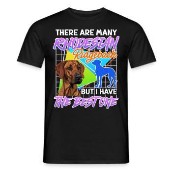 Ridgeback BEAUCOUP DE RIDGEBACKS RHODÉSIENS MAIS J’AI LE - T-shirt homme - noir - Devant - AI Model Male 178 light (178cm)