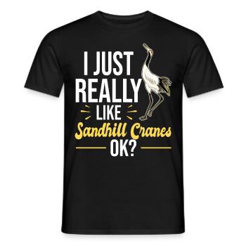 Kanadakranich | Kanadischer Kranich Vogel Geschenk - Männer T-Shirt - Schwarz - Vorne - AI Model Male 178 light (178cm)