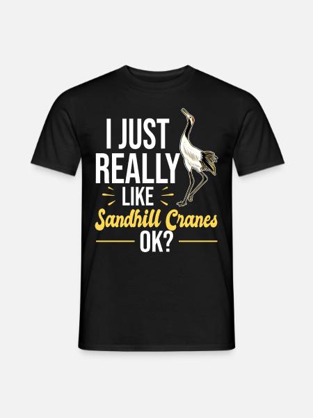 Kanadakranich | Kanadischer Kranich Vogel Geschenk - Männer T-Shirt - Schwarz