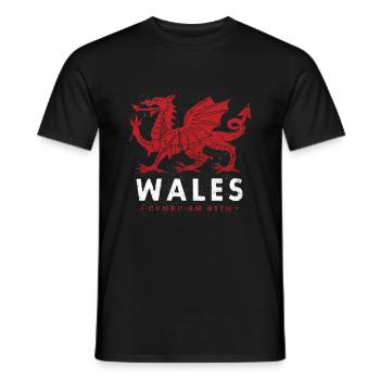 WALES WELSH DRAGON FLAG BANNER GIFT - Men's T-Shirt - black - Front - AI Model Male 178 light (178cm)