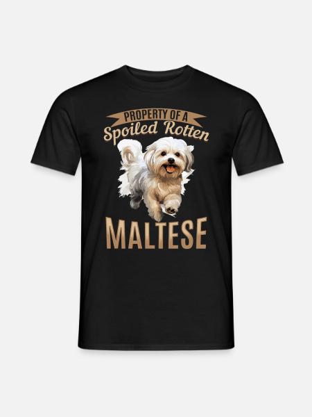 Maltese Dog Breed Pet Property of a spoiled - Mænd T-shirt - sort