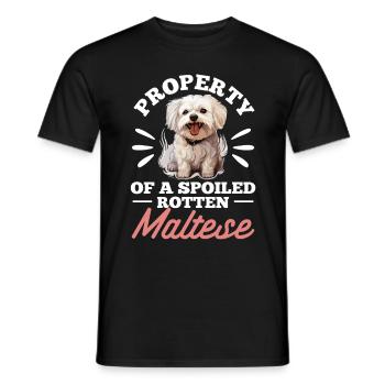 Maltese Dog Breed Pet Property of a spoiled - Men's T-Shirt - black - Front - AI Model Male 178 light (178cm)